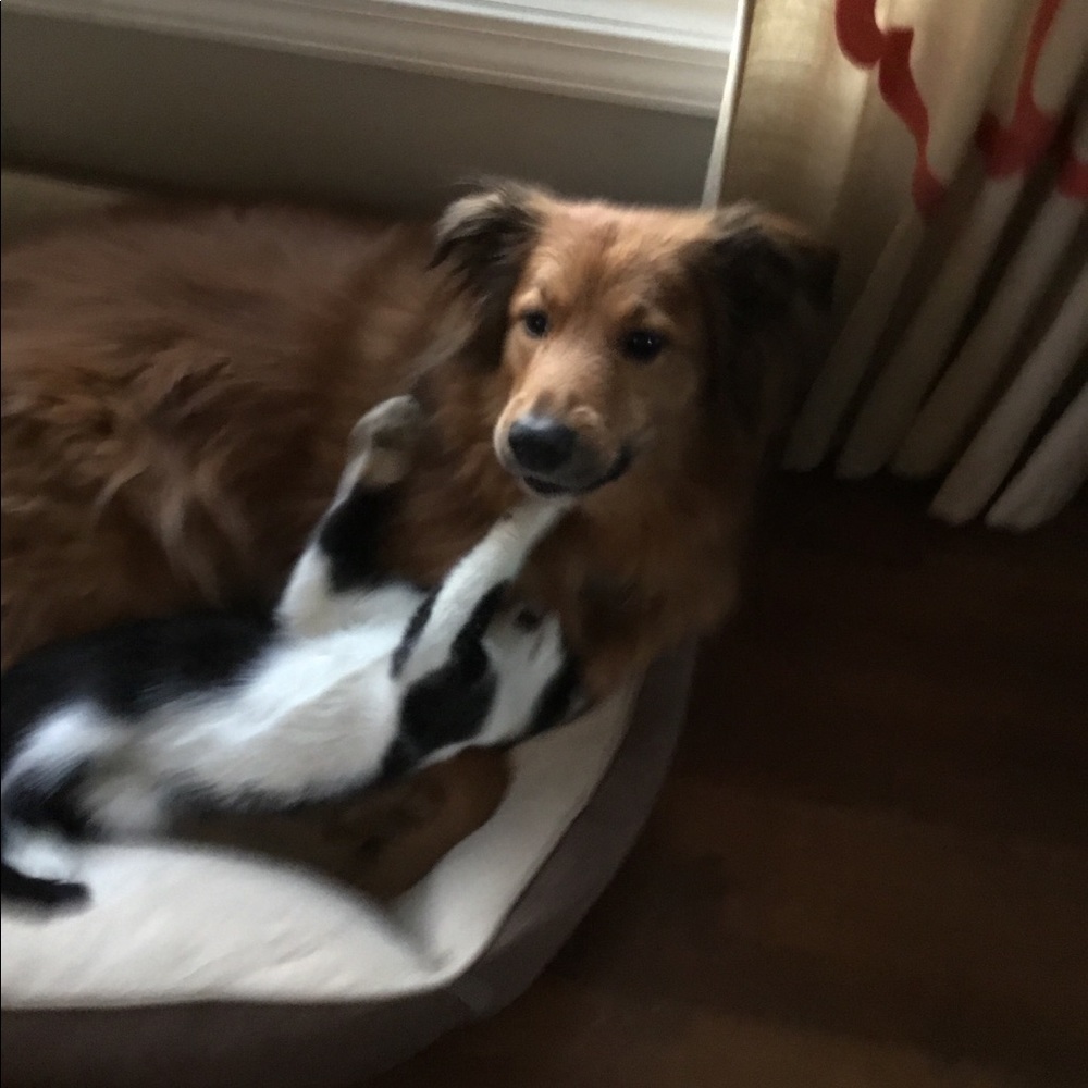 Meet your Posher, Erin